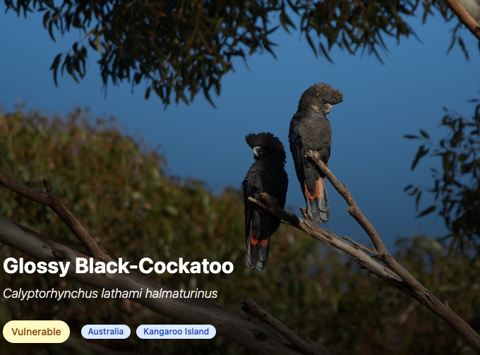 FaunaCulture.com project screenshot or visual